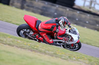 PJ-Motorsport-2019;anglesey-no-limits-trackday;anglesey-photographs;anglesey-trackday-photographs;enduro-digital-images;event-digital-images;eventdigitalimages;no-limits-trackdays;peter-wileman-photography;racing-digital-images;trac-mon;trackday-digital-images;trackday-photos;ty-croes